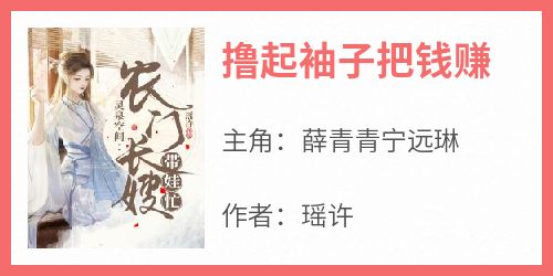 完整版《撸起袖子把钱赚》薛青青宁远琳小说免费在线阅读