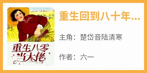 《重生回到八十年代来创业》楚岱音陆清寒-小说txt全文阅读