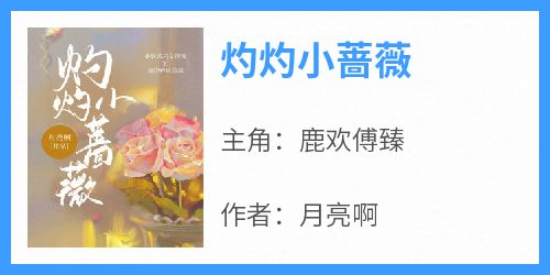 主角鹿欢傅臻小说完整版最新章节-灼灼小蔷薇免费阅读全文