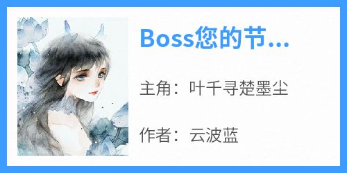 好书推荐《Boss您的节操呢》叶千寻楚墨尘全文在线阅读