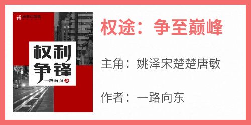 热门小说《权途：争至巅峰》完整版全文阅读