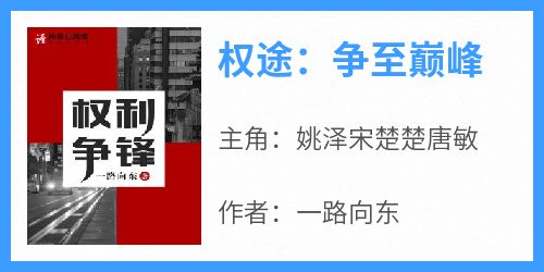 抖音爆款《权途：争至巅峰》姚泽宋楚楚唐敏无广告阅读