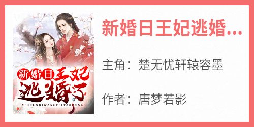 【新书】《新婚日王妃逃婚了》主角楚无忧轩辕容墨全文全章节小说阅读