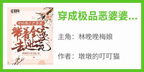 穿成极品恶婆婆，带着全家去逃荒小说(完结版)-林晚晚梅娘在线阅读