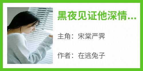 宋棠严霁小说《黑夜见证他深情宋晓严辰北》全文阅读