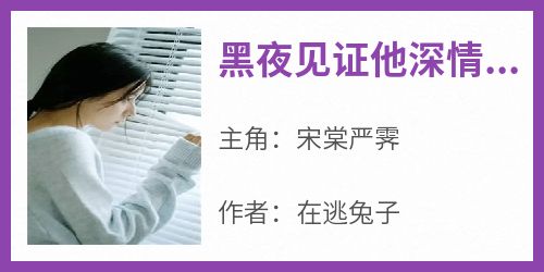 抖音爆款小说《黑夜见证他深情宋晓严辰北宋棠严霁》免费txt全文阅读