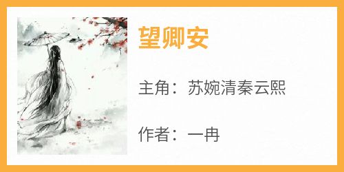 望卿安无弹窗在线阅读