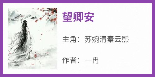 (精品)望卿安小说