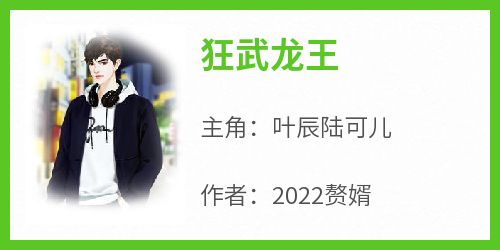 火爆狂武龙王小说，主角是叶辰陆可儿在线阅读全文无删减