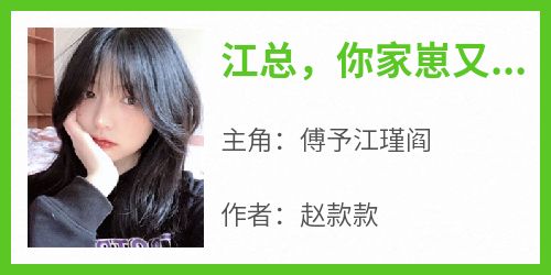 傅予江瑾阎全本小说 《江总，你家崽又带夫人去相亲了》全文免费在线阅读