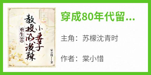 《穿成80年代留守小媳妇苏檬沈青时》穿成80年代留守小媳妇全文免费阅读【完整章节】