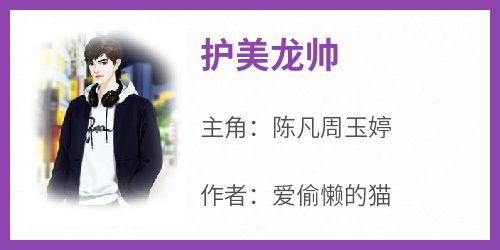 《护美龙帅》陈凡周玉婷全章节在线阅读