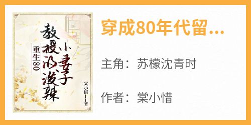 完整版《穿成80年代留守小媳妇》苏檬沈青时小说免费在线阅读