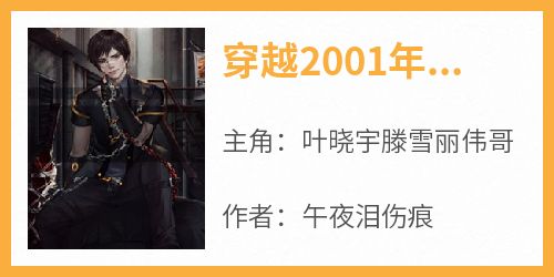 《穿越2001年叶晓宇》by午夜泪伤痕免费阅读小说大结局