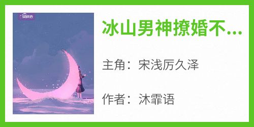 《冰山男神撩婚不止宋浅厉久泽》冰山男神撩婚不止全文免费阅读【完整章节】