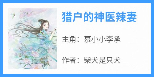 (抖音小说)慕小小李承小说全文阅读免费