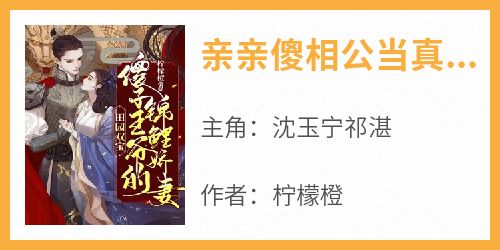 亲亲傻相公当真成了王爷(沈玉宁祁湛)全文章节在线阅读