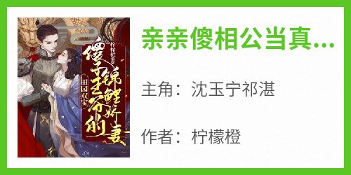 爆款小说《亲亲傻相公当真成了王爷》在线阅读-沈玉宁祁湛免费阅读