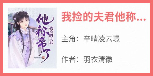 《我捡的夫君他称帝了》完整版-辛晴凌云璟在线全文阅读