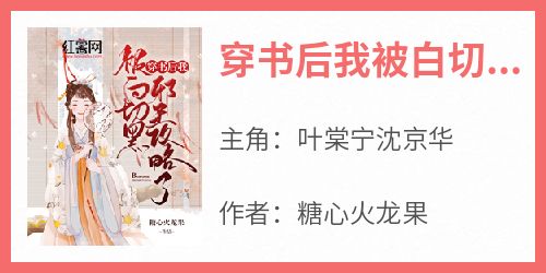 穿书后我被白切黑邪王攻略了抖音全本小说叶棠宁沈京华抖音免费章节阅读