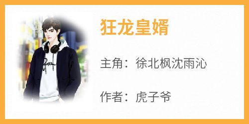 火爆狂龙皇婿小说，主角是徐北枫沈雨沁在线阅读全文无删减