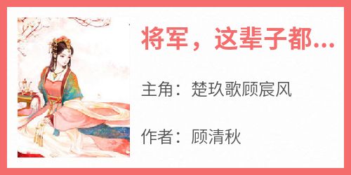 (精品)将军，这辈子都赔给你小说