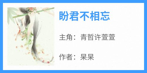 书荒必备《盼君不相忘》全文章节阅读