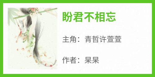 《盼君不相忘》小说全章节目录阅读BY杲杲完结版阅读