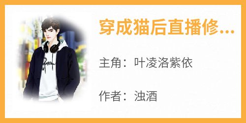 抖音爆款小说《穿成猫后直播修仙叶凌洛紫依》免费txt全文阅读