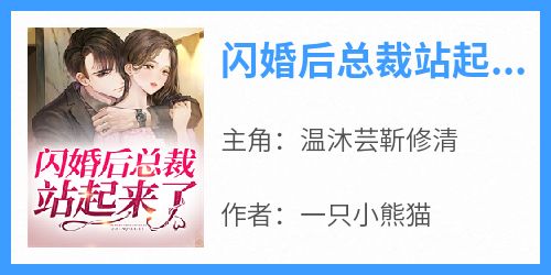 《闪婚后总裁站起来了》完整版-温沐芸靳修清在线全文阅读