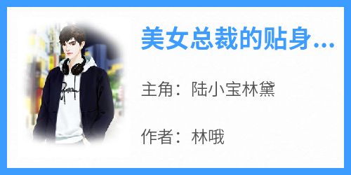 主角是陆小宝林黛的美女总裁的贴身道医抖音热门小说