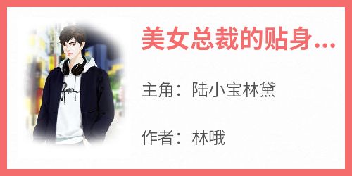 【抖音热推】陆小宝林黛全文在线阅读-《美女总裁的贴身道医》全章节目录