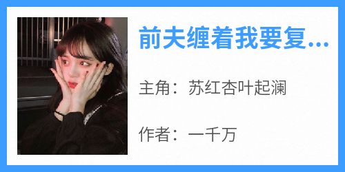 《前夫缠着我要复婚》章节全目录 苏红杏叶起澜全文免费阅读