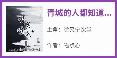 火爆胥城的人都知道徐又宁爱沈邑小说，主角是徐又宁沈邑在线阅读全文无删减