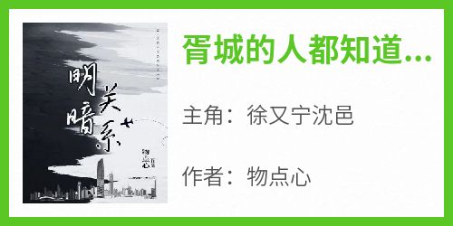 胥城的人都知道徐又宁爱沈邑小说主角是徐又宁沈邑全文完整版阅读