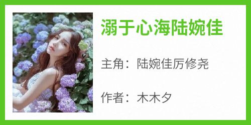 小说推荐《溺于心海陆婉佳》完结版全章节阅读