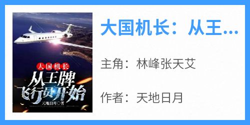 大国机长：从王牌飞行员开始主角是林峰张天艾小说百度云全文完整版阅读