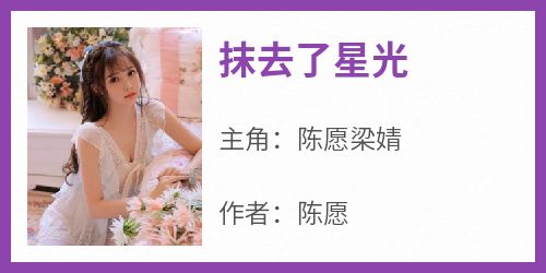 抖音小说《抹去了星光》陈愿梁婧全文txt