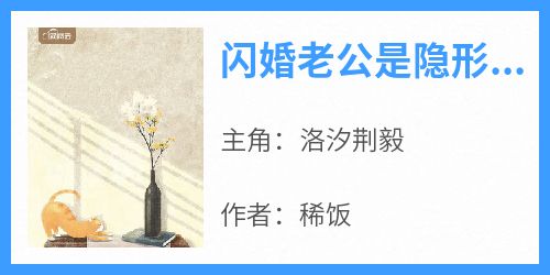 爆款热文洛汐荆毅在线阅读-《闪婚老公是隐形大佬》全章节列表