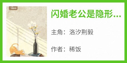 洛汐荆毅主角抖音小说《闪婚老公是隐形大佬》在线阅读