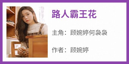 抖音顾婉婷何袅袅小说叫什么名字