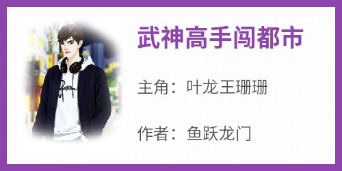 主角是叶龙王珊珊的小说武神高手闯都市最完整版热门连载