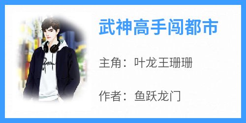 叶龙王珊珊小说《武神高手闯都市》免费阅读