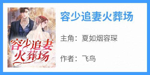 抖音完结《容少追妻火葬场》夏如烟容琛(全文在线阅读)