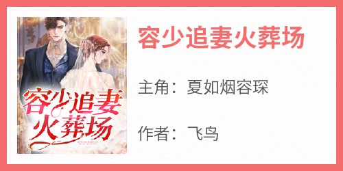 抖音完结《容少追妻火葬场》夏如烟容琛(全文在线阅读)