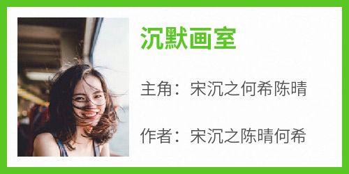 《沉默画室》快手热推宋沉之何希陈晴免费阅读