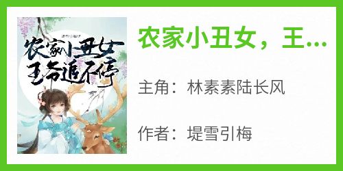 农家小丑女，王爷追不停(林素素陆长风)全文完整版阅读