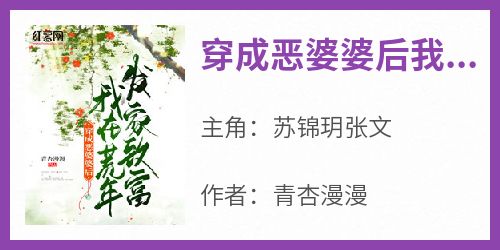 《穿成恶婆婆后我在荒年发家致富》苏锦玥张文最新章节在线阅读