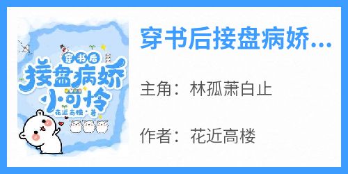 好文热推小说穿书后接盘病娇小可怜主角林孤萧白止全文在线阅读