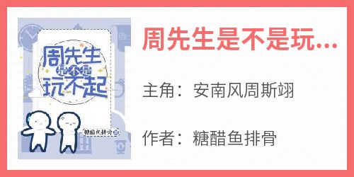 《周先生是不是玩不起》安南风周斯翊-小说txt全文阅读